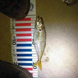 レガーメ　牙突